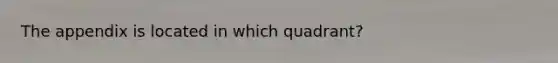 The appendix is located in which quadrant?