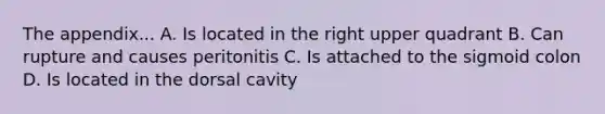 The appendix... A. Is located in the right upper quadrant B. Can rupture and causes peritonitis C. Is attached to the sigmoid colon D. Is located in the dorsal cavity