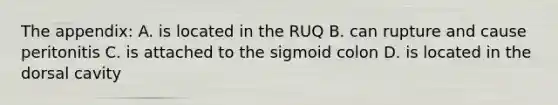 The appendix: A. is located in the RUQ B. can rupture and cause peritonitis C. is attached to the sigmoid colon D. is located in the dorsal cavity