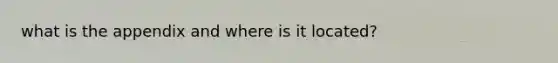 what is the appendix and where is it located?