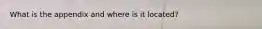 What is the appendix and where is it located?