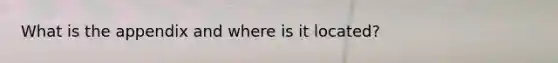 What is the appendix and where is it located?