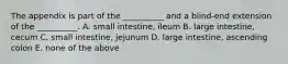 The appendix is part of the __________ and a blind-end extension of the __________. A. small intestine, ileum B. large intestine, cecum C. small intestine, jejunum D. large intestine, ascending colon E. none of the above