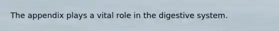 The appendix plays a vital role in the digestive system.