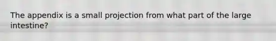 The appendix is a small projection from what part of the large intestine?