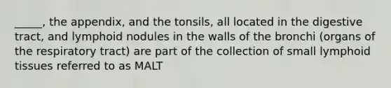 _____, the appendix, and the tonsils, all located in the digestive tract, and lymphoid nodules in the walls of the bronchi (organs of the respiratory tract) are part of the collection of small lymphoid tissues referred to as MALT