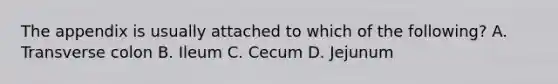 The appendix is usually attached to which of the following? A. Transverse colon B. Ileum C. Cecum D. Jejunum