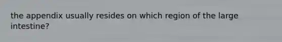 the appendix usually resides on which region of the large intestine?