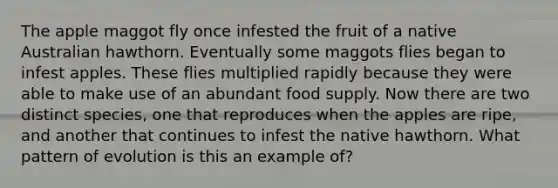 The apple maggot fly once infested the fruit of a native Australian hawthorn. Eventually some maggots flies began to infest apples. These flies multiplied rapidly because they were able to make use of an abundant food supply. Now there are two distinct species, one that reproduces when the apples are ripe, and another that continues to infest the native hawthorn. What pattern of evolution is this an example of?