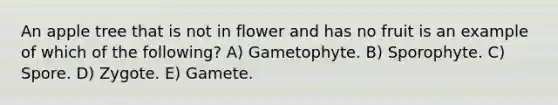 An apple tree that is not in flower and has no fruit is an example of which of the following? A) Gametophyte. B) Sporophyte. C) Spore. D) Zygote. E) Gamete.