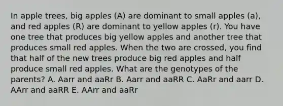 In apple trees, big apples (A) are dominant to small apples (a), and red apples (R) are dominant to yellow apples (r). You have one tree that produces big yellow apples and another tree that produces small red apples. When the two are crossed, you find that half of the new trees produce big red apples and half produce small red apples. What are the genotypes of the parents? A. Aarr and aaRr B. Aarr and aaRR C. AaRr and aarr D. AArr and aaRR E. AArr and aaRr