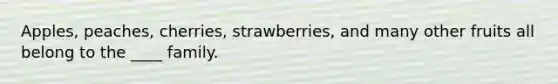 Apples, peaches, cherries, strawberries, and many other fruits all belong to the ____ family. ​