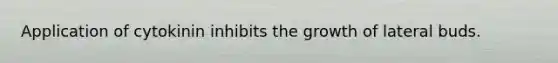 Application of cytokinin inhibits the growth of lateral buds.
