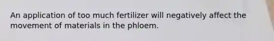 An application of too much fertilizer will negatively affect the movement of materials in the phloem.