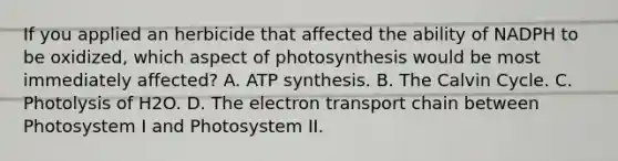 If you applied an herbicide that affected the ability of NADPH to be oxidized, which aspect of photosynthesis would be most immediately affected? A. ATP synthesis. B. The Calvin Cycle. C. Photolysis of H2O. D. The electron transport chain between Photosystem I and Photosystem II.