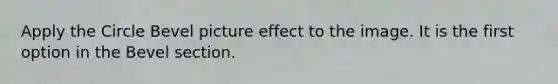 Apply the Circle Bevel picture effect to the image. It is the first option in the Bevel section.
