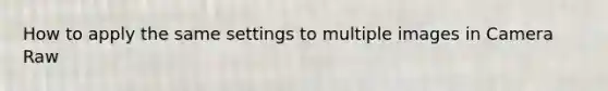 How to apply the same settings to multiple images in Camera Raw