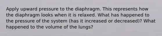 Apply upward pressure to the diaphragm. This represents how the diaphragm looks when it is relaxed. What has happened to the pressure of the system (has it increased or decreased)? What happened to the volume of the lungs?