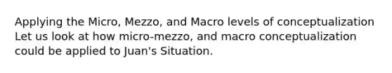 Applying the Micro, Mezzo, and Macro levels of conceptualization Let us look at how micro-mezzo, and macro conceptualization could be applied to Juan's Situation.