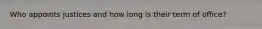 Who appoints justices and how long is their term of office?