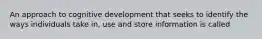 An approach to cognitive development that seeks to identify the ways individuals take in, use and store information is called