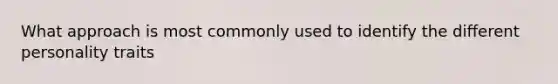 What approach is most commonly used to identify the different personality traits