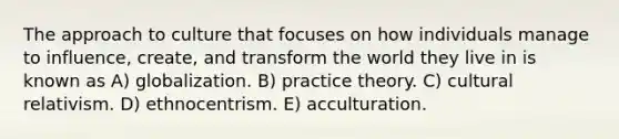 The approach to culture that focuses on how individuals manage to influence, create, and transform the world they live in is known as A) globalization. B) practice theory. C) cultural relativism. D) ethnocentrism. E) acculturation.