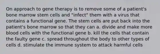 On approach to gene therapy is to remove some of a patient's bone marrow stem cells and "infect" them with a virus that contains a functional gene. The stem cells are put back into the patient's bone marrow so that they can a. divide and make more blood cells with the functional gene b. kill the cells that contain the faulty gene c. spread throughout the body to other types of cells d. stimulate the immune system to attack harmful cells