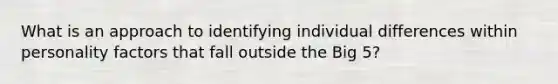 What is an approach to identifying individual differences within personality factors that fall outside the Big 5?
