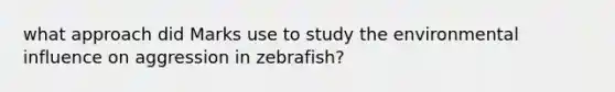 what approach did Marks use to study the environmental influence on aggression in zebrafish?