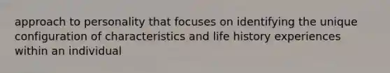 approach to personality that focuses on identifying the unique configuration of characteristics and life history experiences within an individual