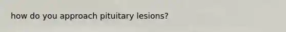 how do you approach pituitary lesions?