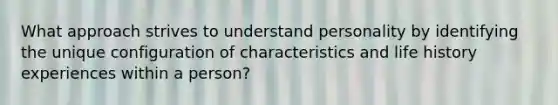 What approach strives to understand personality by identifying the unique configuration of characteristics and life history experiences within a person?