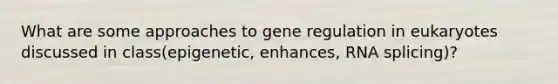 What are some approaches to gene regulation in eukaryotes discussed in class(epigenetic, enhances, RNA splicing)?