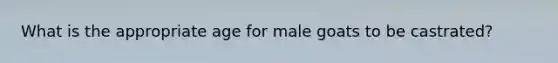 What is the appropriate age for male goats to be castrated?