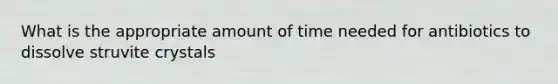 What is the appropriate amount of time needed for antibiotics to dissolve struvite crystals