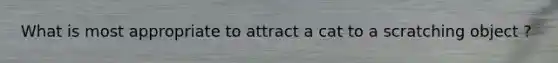 What is most appropriate to attract a cat to a scratching object ?