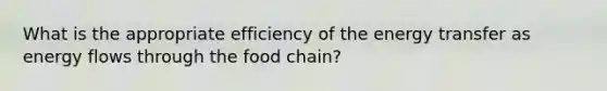 What is the appropriate efficiency of the energy transfer as energy flows through the food chain?