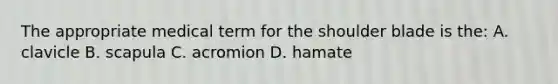 The appropriate medical term for the shoulder blade is the: A. clavicle B. scapula C. acromion D. hamate