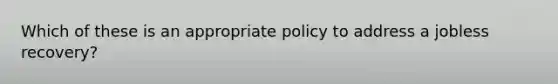 Which of these is an appropriate policy to address a jobless recovery?