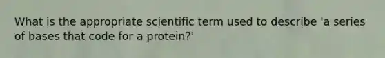 What is the appropriate scientific term used to describe 'a series of bases that code for a protein?'