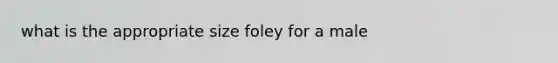 what is the appropriate size foley for a male