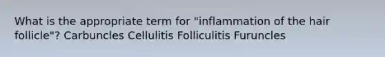 What is the appropriate term for "inflammation of the hair follicle"? Carbuncles Cellulitis Folliculitis Furuncles