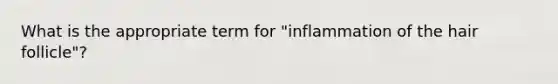 What is the appropriate term for "inflammation of the hair follicle"?