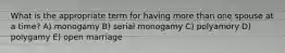 What is the appropriate term for having more than one spouse at a time? A) monogamy B) serial monogamy C) polyamory D) polygamy E) open marriage