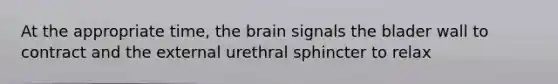 At the appropriate time, the brain signals the blader wall to contract and the external urethral sphincter to relax