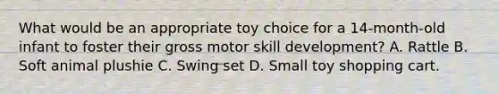 What would be an appropriate toy choice for a 14-month-old infant to foster their gross motor skill development? A. Rattle B. Soft animal plushie C. Swing set D. Small toy shopping cart.