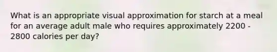 What is an appropriate visual approximation for starch at a meal for an average adult male who requires approximately 2200 - 2800 calories per day?