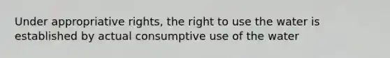 Under appropriative rights, the right to use the water is established by actual consumptive use of the water