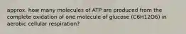 approx. how many molecules of ATP are produced from the complete oxidation of one molecule of glucose (C6H12O6) in aerobic cellular respiration?